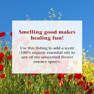 Add a Scent to Any of My Unscented Flower Essence Sprays