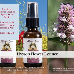 Organic Hyssop Flower Essence, Scented Spray Aura Mist Self-care Addressing Body-Based Guilt or Shame, Self-Abuse, Cutting