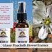 see more listings in the FlowerEssence AromaSpray section