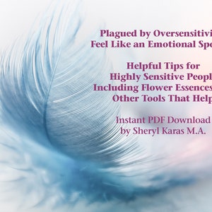 Pode incluir: Uma pena macia azul claro sobre um fundo desfocado. O texto diz: "Plagued by Oversensitivity? Feel Like an Emotional Sponge? Helpful Tips for Highly Sensitive People Including Flower Essences and Other Tools That Help Instant PDF Download by Sheryl Karas M.A."