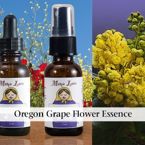 Oregon Grape Flower Essence, Dropper or Spray for Trusting Self and Others, Addressing "Paranoid," Overly Self-Protective Feelings