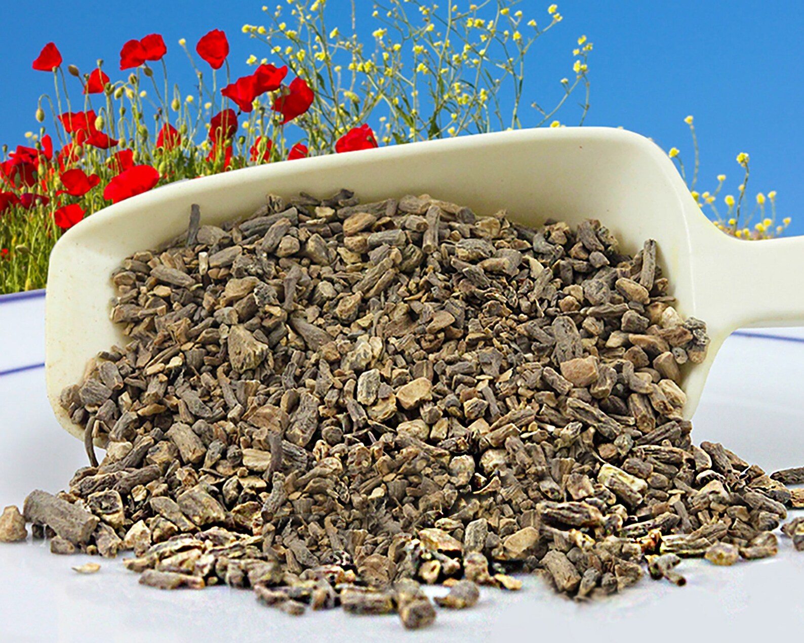 Organic Raw Dandelion Root Herb Herb Tea Coffee Substitute Etsy