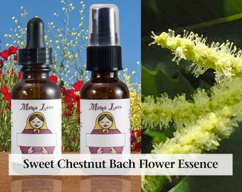Sweet Chestnut, Organic Bach Flower Essence, Dropper or Spray, Self-care for Strength, Faith and Courage when In Despair and All Seems Lost