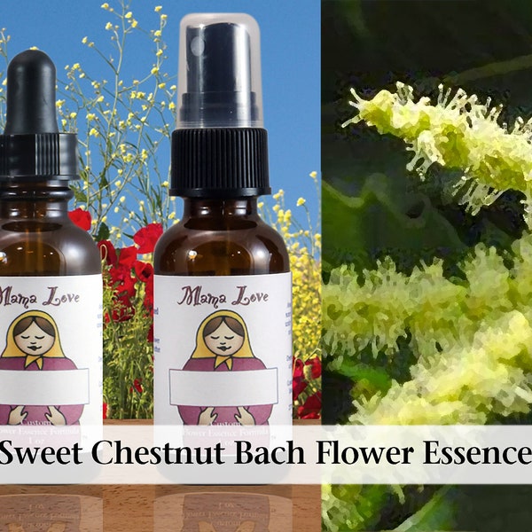 Sweet Chestnut, Organic Bach Flower Essence, Dropper or Spray, Self-care for Strength, Faith and Courage when In Despair and All Seems Lost