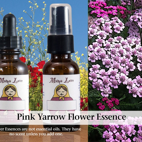 Organic Pink Yarrow Flower Essence, Dropper or Spray for Loving with Appropriate Boundaries, Addressing Oversensitivity, Codependency