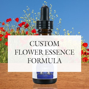 Pu&ograve; includere: Un piccolo flacone di vetro trasparente con un contagocce, etichettato "Custom Flower Essence Formula" e "Flower Essence Blend 1 oz". Il flacone &egrave; appoggiato su una superficie di legno con un campo di papaveri rossi sullo sfondo.