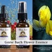 see more listings in the Single Flower Essences section