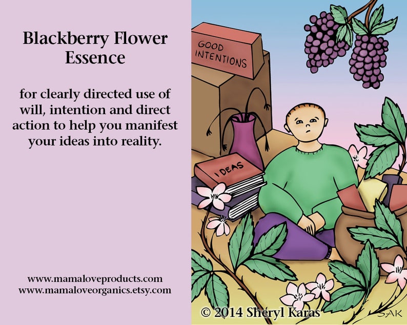 Blackberry Flower Essence 1 or 2 Oz Dropper or Spray Aura Etsy