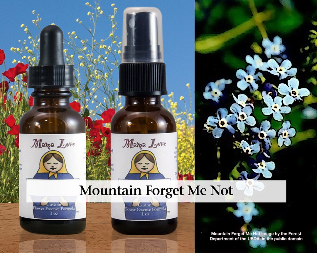 Organic Mountain Flower Essence Dropper or Etsy