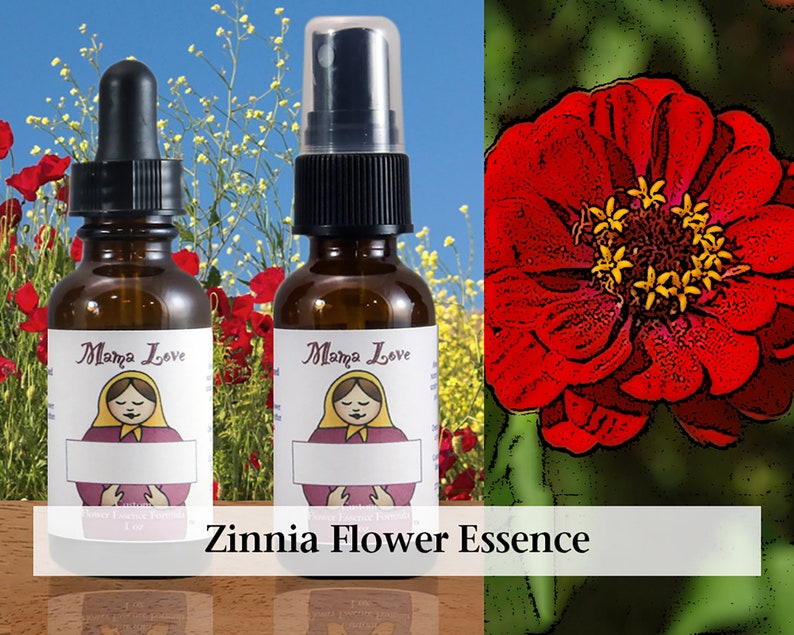 Zinnia Flower Essence, 1 or 2 oz Dropper or Spray Aura Mist for a Youthful Playfulness and Lighthearted Perspective image 1