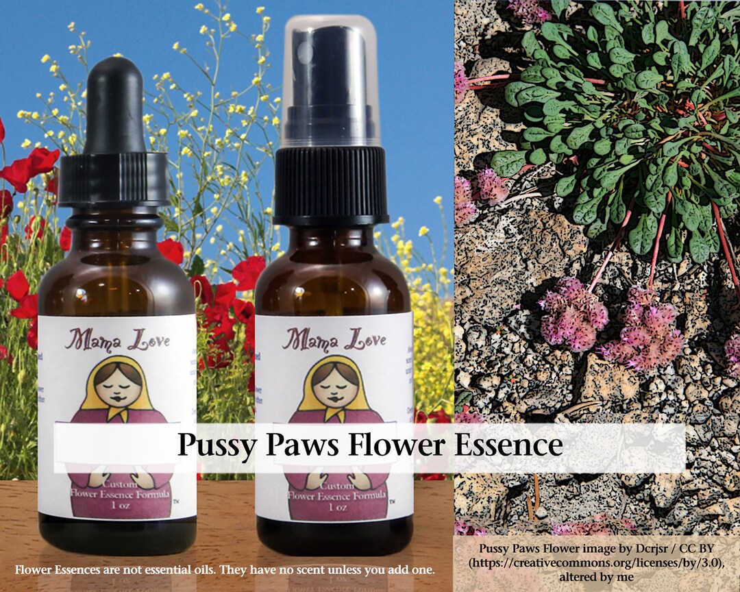 Pussy Paws Flower Essence, Dropper or Spray for Addressing Fears of