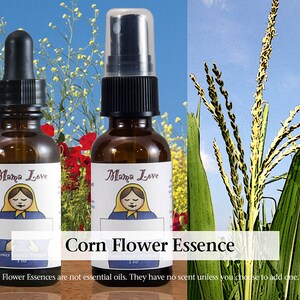 Op de afbeelding: Twee bruine glazen flessen "Mama Love" bloemenessence, &eacute;&eacute;n met een druppelaar en de andere met een spraydop. De flessen zijn gelabeld met "Corn Flower Essence". De achtergrond toont ma&iuml;sstengels en bloemen.