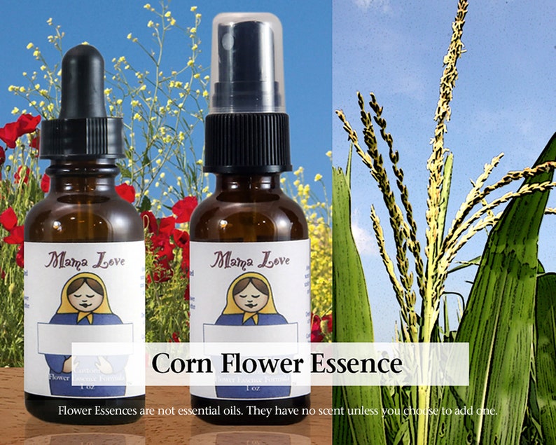 Op de afbeelding: Twee bruine glazen flessen "Mama Love" bloemenessence, &eacute;&eacute;n met een druppelaar en de andere met een spraydop. De flessen zijn gelabeld met "Corn Flower Essence". De achtergrond toont ma&iuml;sstengels en bloemen.