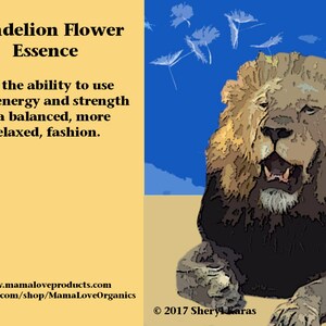 May include: A yellow and brown illustration of a lion with a dandelion flower essence description. The text reads: "Dandelion Flower Essence For the ability to use your energy and strength in a balanced, more relaxed, fashion. www.mamaloveproducts.com www.etsy.com/shop/MamaLoveOrganics &copy;2017 Sheryl Karas"
