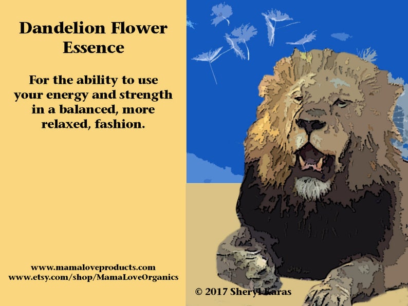 May include: A yellow and brown illustration of a lion with a dandelion flower essence description. The text reads: "Dandelion Flower Essence For the ability to use your energy and strength in a balanced, more relaxed, fashion. www.mamaloveproducts.com www.etsy.com/shop/MamaLoveOrganics &copy;2017 Sheryl Karas"
