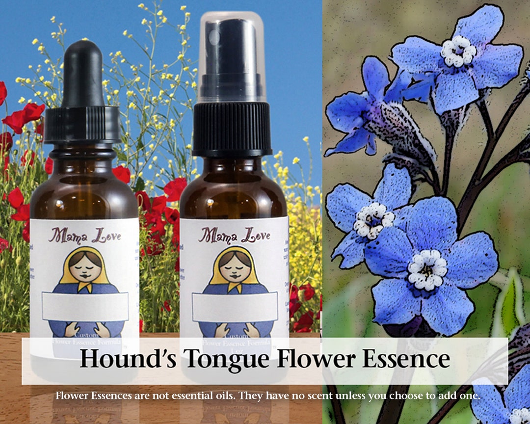 Organic Hound S Tongue Flower Essence Dropper Or Etsy