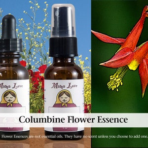 Pu&ograve; includere: Due bottiglie di vetro marrone con tappi a goccia e spray. Le bottiglie sono etichettate "Mama Love" e contengono essenza di fiore di aquilegia. Il testo "Le essenze floreali non sono oli essenziali. Non hanno profumo a meno che non si scelga di aggiungerne uno." &egrave; sotto le bottiglie. Un fiore di aquilegia rosso &egrave; sullo sfondo.