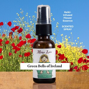 Green Bells of Ireland Flower Essence, Scented Spray: Feeling a Direct Connection to Nature