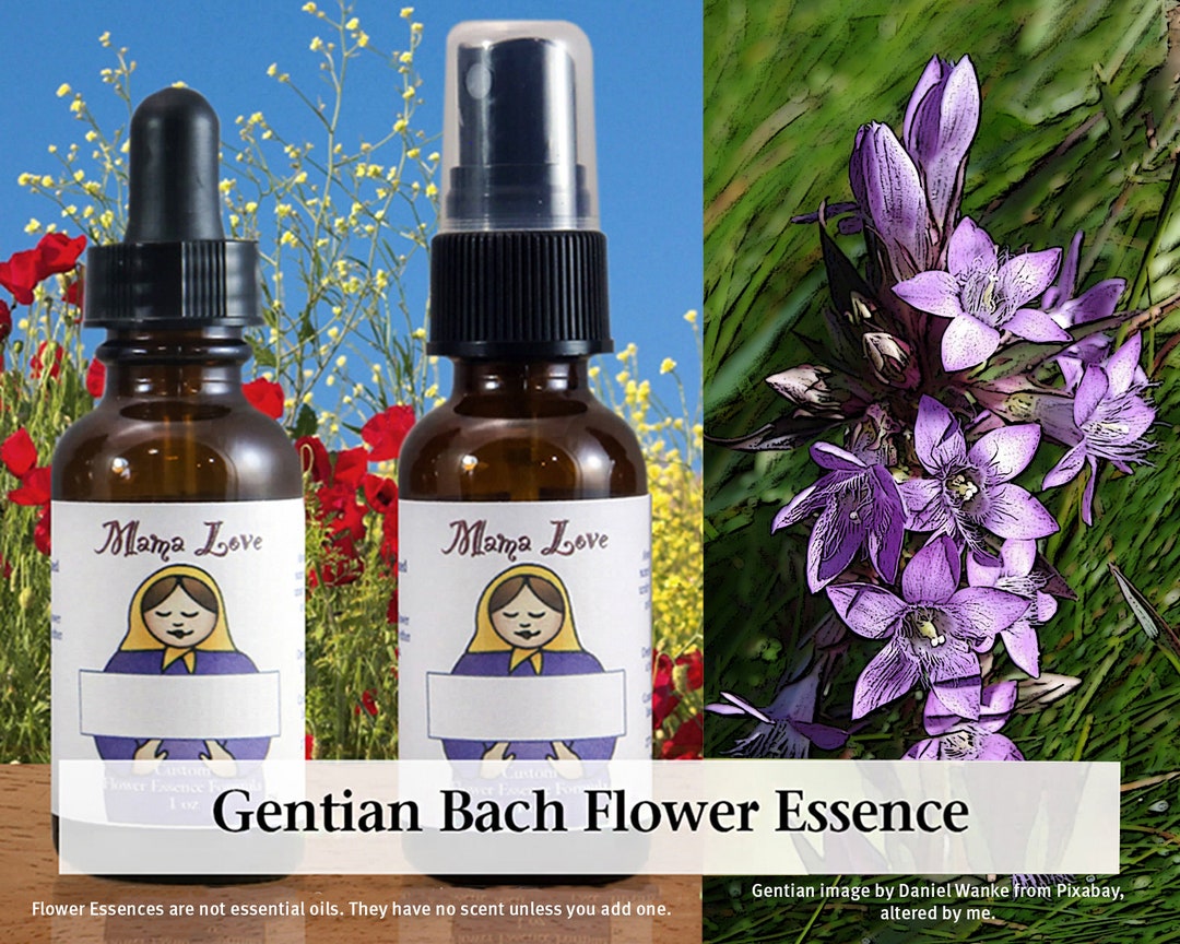 Gentian Flower Essence, Dropper or Unscented Spray Aura Mist for ...
