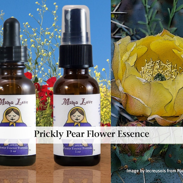 Prickly Pear Flower Essence, Dropper or Unscented Spray Aura Mist for Being More Adaptable to the Present Moment, More Resilient, Grateful