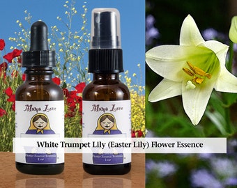 White Trumpet Lily Flower Essence, Easter Lily, Organic, Dropper or Spray for Embracing the Spiritual Nature of Healthy Sexuality