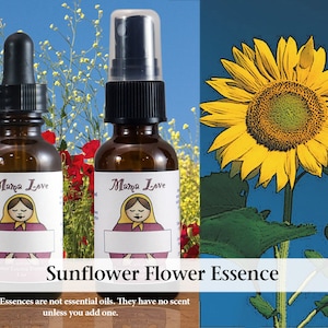 Sunflower Flower Essence, Dropper or Unscented Spray for Self-Esteem, Bringing Out Your Biggest Self without Arrogance or Inflation