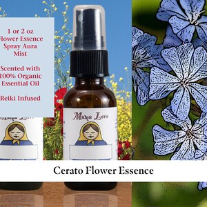 Cerato Flower Essence, Scented Spray Aura Mist for Trusting Your Thinking or Intuition when Overly Dependent on the Opinions of Others