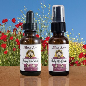 Healing Political Stress, Flower Essence Relief for Intense Emotions Brought Up by the Election