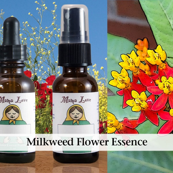 Organic Milkweed Flower Essence, Dropper or Unscented Spray Aura Mist for Help with Dependency, Becoming Independent and Self-Reliant