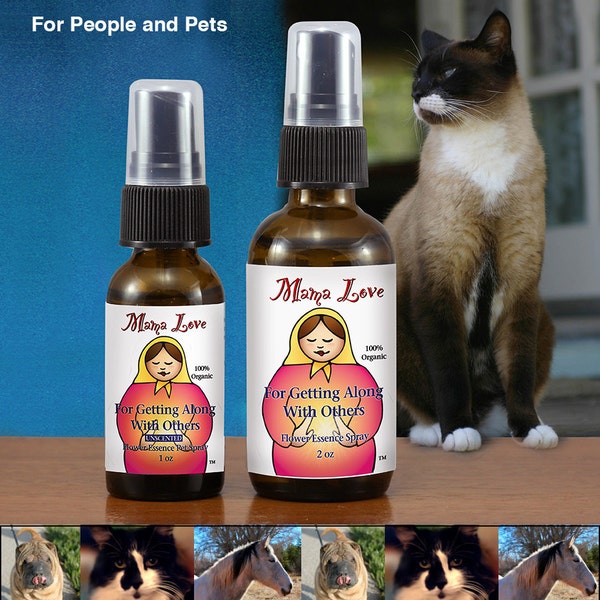Getting Along with Others Pet Formula, Organic Flower Essence Dropper or Spray for Family Harmony, Reiki-Infused