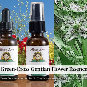 Green-Cross Gentian Flower Essence, Dropper or Spray for Hope and Resolve Despite Setbacks, Overwhelm at State of the World