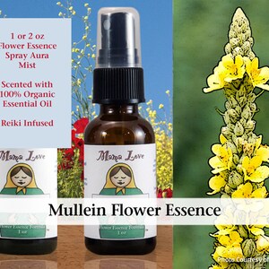 Mullein Flower Essence, Scented Spray Aura Mist for Standing Tall in Your Truth, Able to Hear Your Inner Voice, Truthfulness