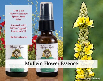 Mullein Flower Essence, Scented Spray Aura Mist for Standing Tall in Your Truth, Able to Hear Your Inner Voice, Truthfulness