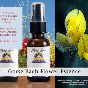 Gorse Bach Flower Essence, Scented Spray Aura Mist, for Hope when One Has Lost Faith in a Positive Future