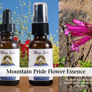 Mountain Pride Flower Essence, Dropper or Unscented Spray for Strength and Courage, Spiritual Warrior, Standing Up for Your Beliefs