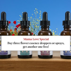 May include: Four brown glass bottles with droppers, each containing a flower essence formula. The bottles are arranged in a row on a wooden surface. The text "Mama Love Special" is displayed above the bottles, along with the text "Buy three flower essence droppers or sprays, get another one free!"