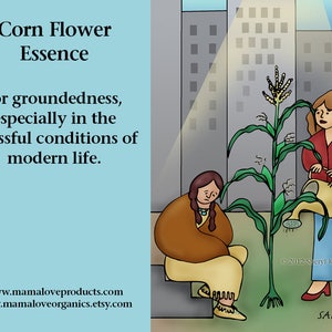 Op de afbeelding: Illustratie van een ma&iuml;splant met twee vrouwen. E&eacute;n vrouw geeft de plant water, de andere zit in de buurt. Tekst luidt: "Corn Flower Essence for groundedness, especially in the stressful conditions of modern life."