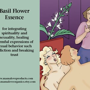 Organic Basil Flower Essence, Dropper or Spray for Integrating Sexuality with Spirituality, Healing Harmful Sexual Behavior and Addiction image 2