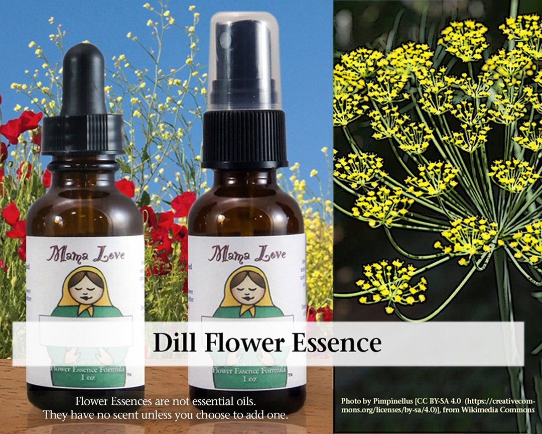 Organic Dill Flower Essence, Dropper or Unscented Spray Aura Mist for