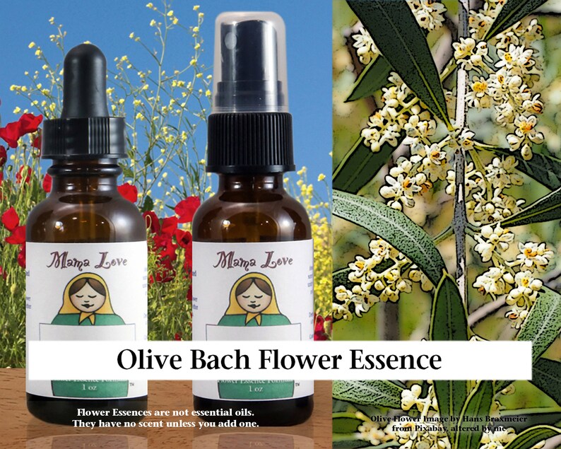 Olive Bach Flower Essence 1 or 2 oz Dropper or Spray Aura Etsy España