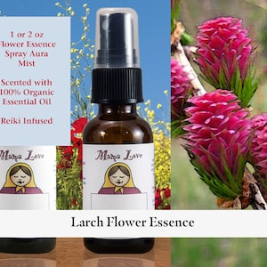 Larch Flower Essence, Scented Spray Aura Mist for Increased Self-Confidence, Self-Expression, Positive Outlook on the Future