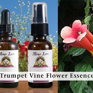 Trumpet Vine Flower Essence, Dropper or Unscented Spray Aura Mist for Vibrant Self-Expression, Assertiveness, Clear Speech