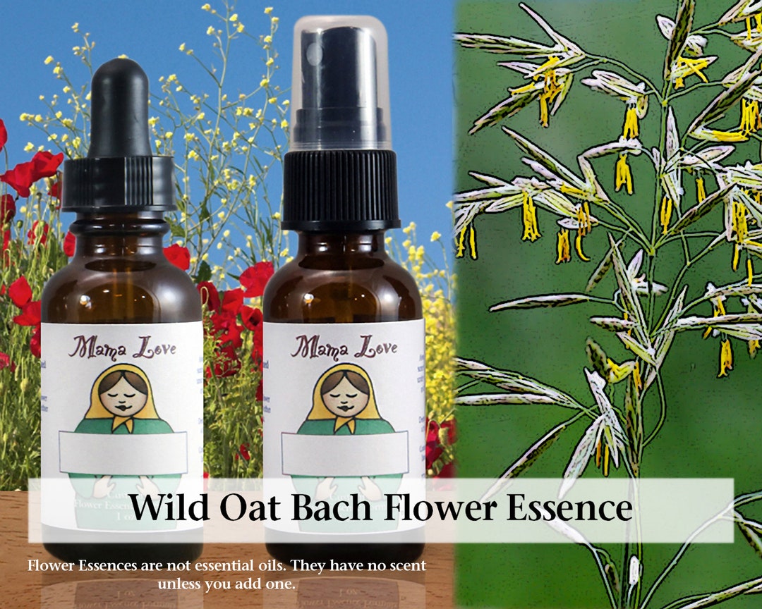 Wild Oat Bach Flower Essence 1 or 2 Oz Dropper or Spray Aura Etsy