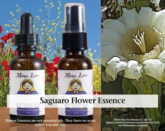Saguaro Flower Essence, Dropper or Spray for Issues Related to Elder Wisdom, Relationship to Authority Figures, Personal Authority