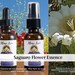 see more listings in the Single Flower Essences section