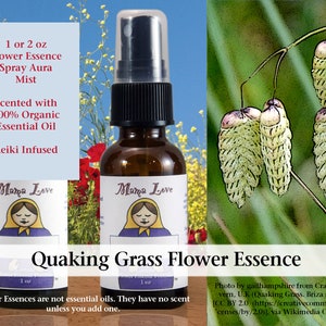 Quaking Grass Flower Essence, Scented Spray Aura Mist for Helping People Get Along Better in Groups