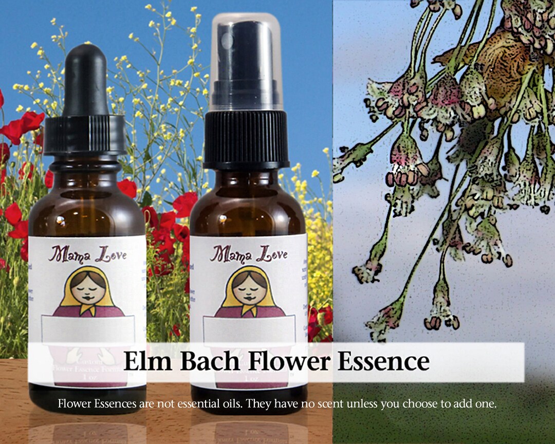 Organic Elm Bach Flower Essence Dropper or Unscented Spray Etsy