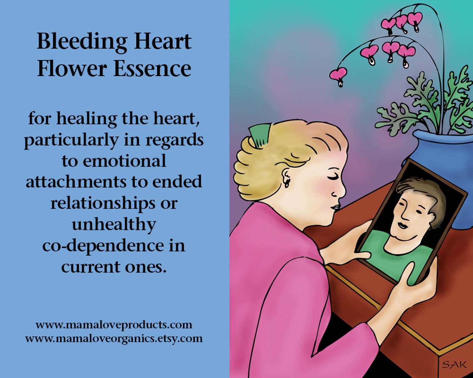 Bleeding Heart Flower Essence 1 or 2 Oz Dropper or Spray for Etsy