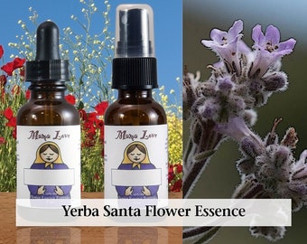 Organic Yerba Santa Flower Essence, Dropper or Unscented Spray Aura Mist, for Releasing Held back Emotions, Sorrow, Grief, Past Trauma