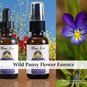 Wild Pansy Flower Essence, Dropper or Unscented Spray Aura Mist for Easing Shyness, Loneliness